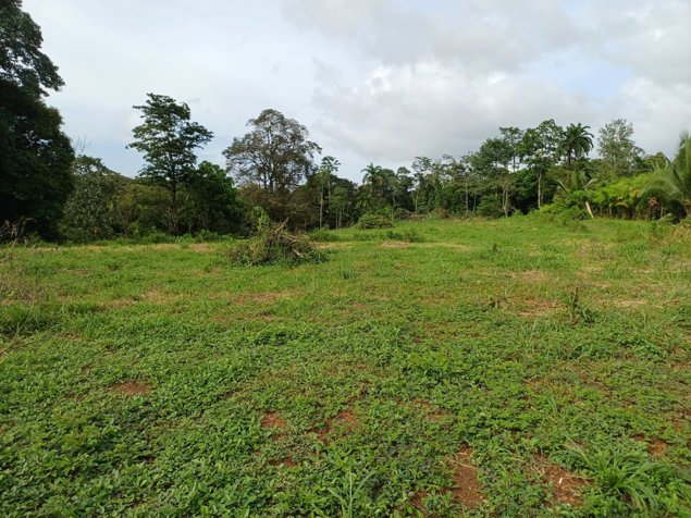VENTA DE LOTE USO DE SUELO MIXTO, HEREDIA, SARAPIQUI, HORQUETAS en Puerto Viejo, Sarapiquí, Heredia — ₡ 40 000 000 - Foto 3 de 6