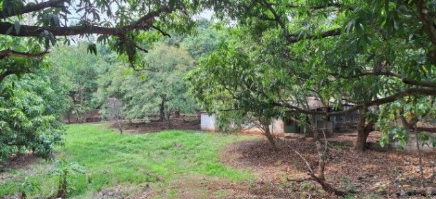 Terreno con Cabañas y Árboles Frutales Cerca de Orotina en San Pablo, Turrubares, San José — $40,000