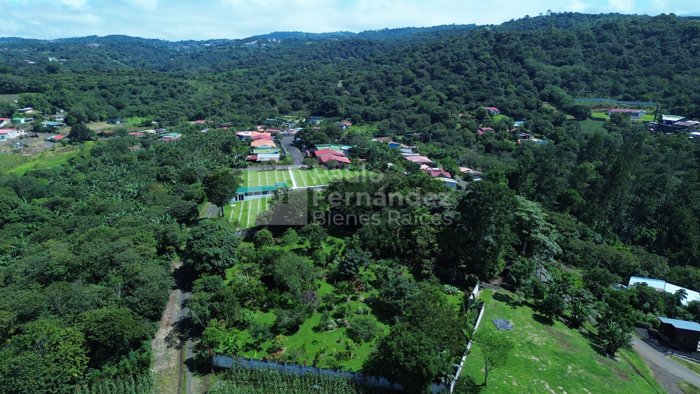 Quinta En Venta Palmitos de Naranjo 5,855m2 in Palmitos, Naranjo, Alajuela — $300,000 - Photo 2 of 7