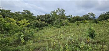 Venta terreno Pinilla Tamarindo  en Tamarindo, Santa Cruz, Guanacaste — $1,150,000 - Foto 4 de 8