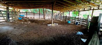 Preciosa Finca en Carrera Buena de San Ramón en Zapotal, San Ramón, Alajuela — 200 000 000 ₡ - Foto 2 de 29