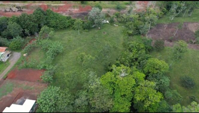 Venta de terreno  en Pocosol, San Carlos, Alajuela — ₡ 100 000 000