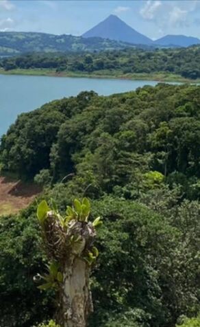 SE VENDEN 3 ESPECTACULARES LOTES EN TRONADORA, TILARÁN, GUANACASTE, COSTA RICA. en Tronadora, Tilarán, Guanacaste — ₡ 36 000 000