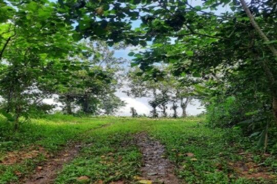 Se vende lote con río, vistas espectaculares al Volcán Arenal a solo 6 minutos de La Fortuna en La Fortuna, San Carlos, Alajuela — ₡ 91 500 000