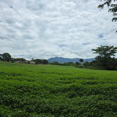 Vendo Lote en San Rafael de Alajuela. Uso de Suelo Mixto - Foto 2 de 3