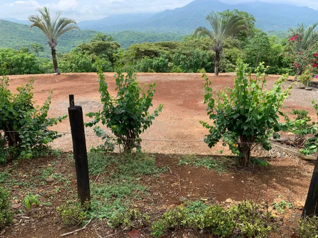 VENTA DE DOS LOTES ALAJUELA, OROTINA, OROTINA in Orotina, Alajuela — $400,492 - Photo 2 of 7