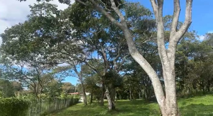 Venta de Lote en Santa Barbara de Heredia en Santa Bárbara, Heredia — $170,000 - Foto 3 de 4