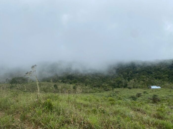 HERMOSA FINCA DE 50 HECTÁREAS EN BIOLLEY, PUNTARENAS – CERCA DEL PARQUE LA AMISTAD in Biolley, Buenos Aires, Puntarenas — $432,000