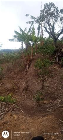 BELLA QUINTA Y CABAÑA EN FRAILES, DESAMPARADOS.  en Frailes, Desamparados, San José — ₡ 46 000 000