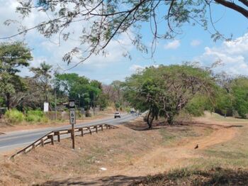Venta de Lote en La Ceiba-Orotina, Alajuela. RAH 26-257 en La Ceiba, Orotina, Alajuela — 30 000 000 ₡ - Foto 4 de 12