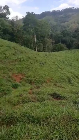 SE VENDE BELLA FINCA EN JAVILLOS, BUENOS AIRES, PUNTARENAS.  en Buenos Aires, Puntarenas — ₡ 25 000 000 - Foto 2 de 5
