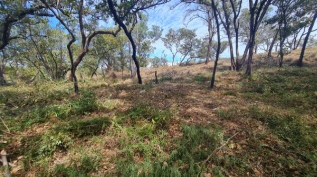 Venta de 3 espectaculares terrenos en Ponderosa, Liberia, Guanacaste, Costa Rica. en Liberia, Guanacaste — $200,000