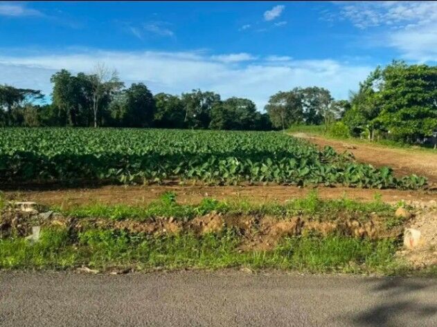 GANGA lote con Vista al Volcán 948m2  en La Fortuna, San Carlos, Alajuela — ₡ 35 000 000