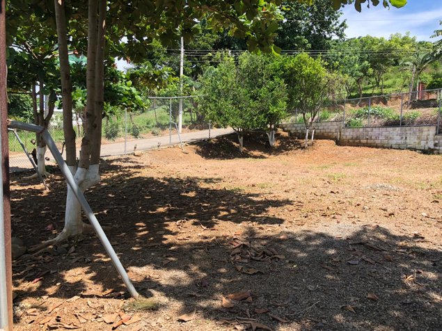 Venta de muy buen lote de 300 m2 en Balsa de Atenas in Atenas, Alajuela — ₡ 20 000 000 - Photo 3 of 14