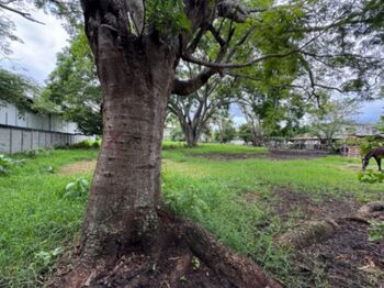 VENDO LOTE PLANO EN POZOS DE SANTA ANA. in Pozos, Santa Ana, San José — $480,000 - Photo 5 of 5