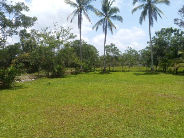 Casa con lote de 5000m2 in Peñas Blancas, San Ramón, Alajuela — ₡ 83 000 000