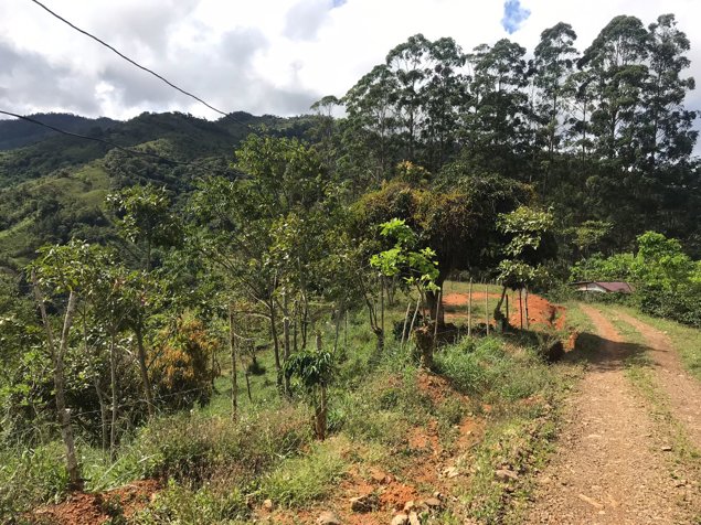 Private mountain with facilities for development in Chimirol Rivas en Alajuela — $120,000 - Foto 3 de 16