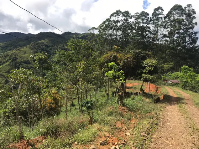 Private mountain with facilities for development in Chimirol Rivas en Alajuela — $120,000 - Foto 3 de 16