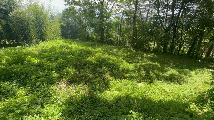 Terreno en Venta en Tarbaca un Entorno Natural y Tranquilo in Tarbaca, Aserrí, San José — $126,270 - Photo 3 of 13