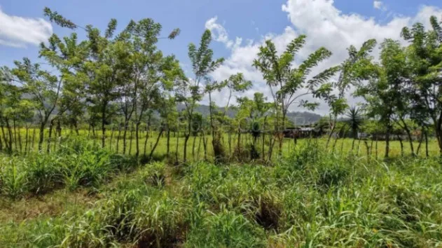 MLS-27-226 KQ VENTA LOTE TURRIALBA CONTACTENOS AL # 88987222 en Turrialba, Cartago — ₡ 480 000 000