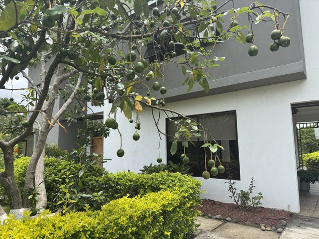 Venta de Casa en Barva de Heredia in San Pedro, Barva, Heredia — ₡ 400 000 000 - Photo 2 of 27