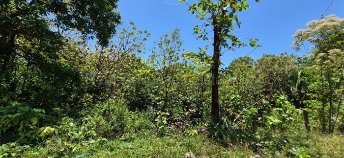 Venta de Lote en Parrita-Puntarenas. RAH 26-1767 en Parrita, Puntarenas — ₡ 150 000 000 - Foto 2 de 6