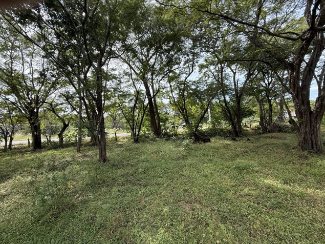 Terrenos Comerciales en Venta – Villa Real, Guanacaste en Tamarindo, Santa Cruz, Guanacaste — $206,000 - Foto 3 de 10