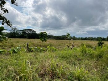 VENTA DE FINCA, PUNTARENAS, PARRITA, PLAYON  en Parrita, Puntarenas — $180,000 - Foto 4 de 12