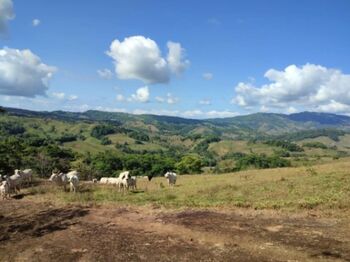 SE VENDE ESPECTACULAR FINCA EN BARÚ, PÉREZ ZELEDÓN.  en Barú, Pérez Zeledón, San José — $1,750,000 - Foto 5 de 20