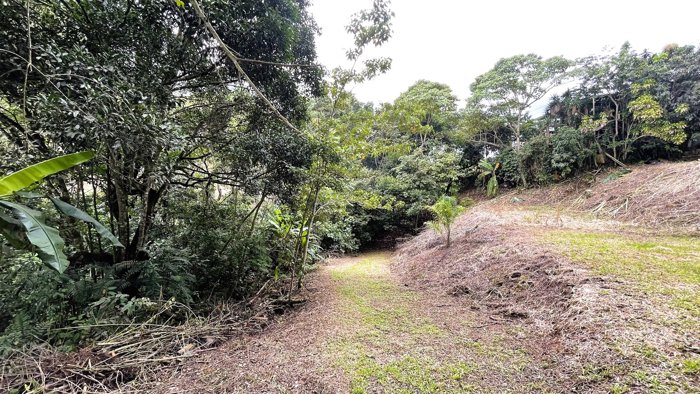 SE VENDE FINCA EN SAN MIGUEL, NARANJO en San Miguel, Naranjo, Alajuela — $890,000 - Foto 2 de 17