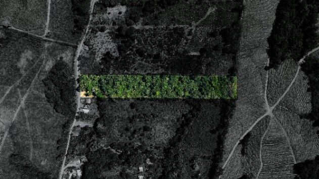 VENTA DE TERRENO DE 1.8 HECTAREAS EN QUIZARRA LISTO PARA CONSTRUIR  in El General, Pérez Zeledón, San José — $139,900