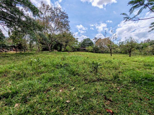 🔰😍 Preciosa Propiedad En Bajo Los Rodríguez, San Ramón se vende completa o Segregada 🔰😍 en San Lorenzo, San Ramón, Alajuela — ₡ 65 000 000