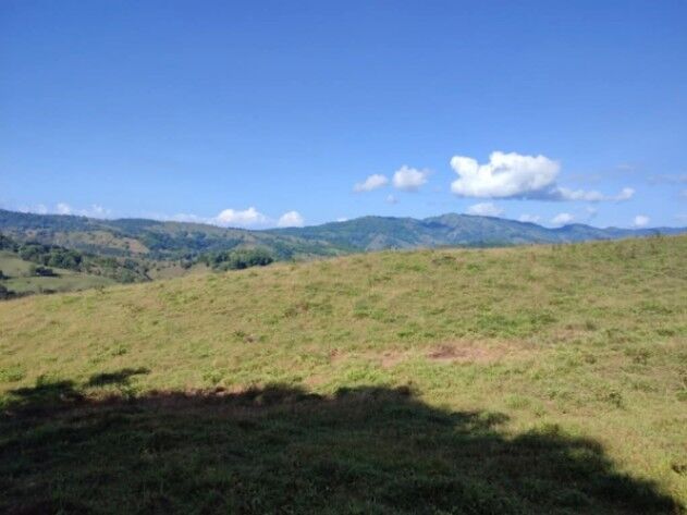 SE VENDE ESPECTACULAR FINCA EN BARÚ, PÉREZ ZELEDÓN.  en Barú, Pérez Zeledón, San José — $1,750,000