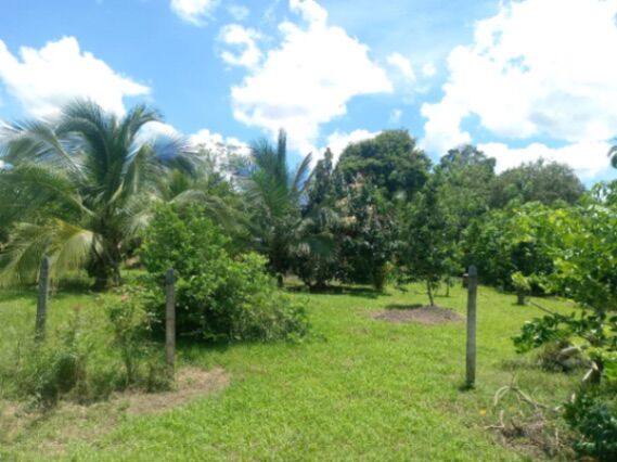 Lote en venta in San Sebastián, San José — ₡ 3 300 000