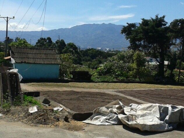 Se Vende Finca En San Pablo De Heredia en San Pablo, Heredia — $150