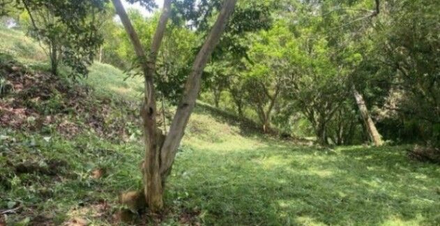 SE VENDE BELLA PROPIEDAD EN BARRIO SAN JOSÉ, ATENAS.  en San José, Atenas, Alajuela — ₡ 73 000 000
