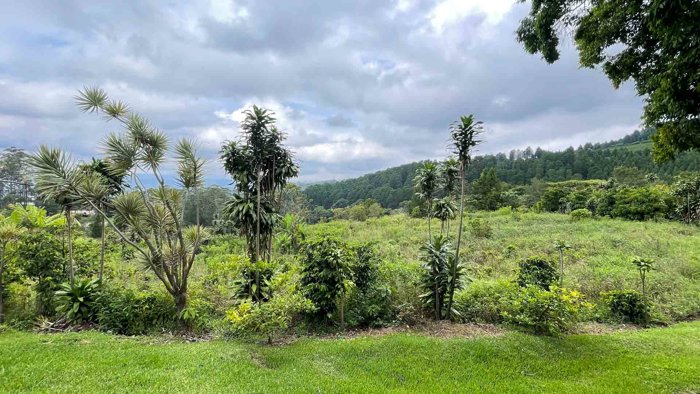 Lot For Sale In San Isidro De Grecia Costa Rica in Grecia, Alajuela — ₡ 50 000 000