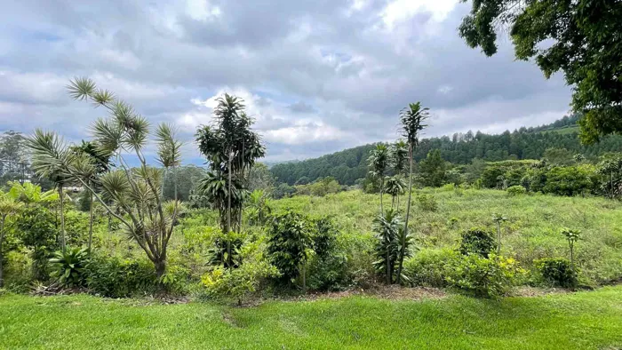 Lot For Sale In San Isidro De Grecia Costa Rica en Grecia, Alajuela — ₡ 50 000 000