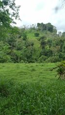 SE VENDE BELLA FINCA GANADERA CON PROYECTO TURÍSTICO.  in Venado, San Carlos, Alajuela — 750 000 000 ₡ - Photo 5 of 20