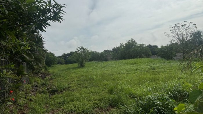 Lote de 3906m2 en area exclusiva de Atenas muy aprovechable en Atenas, Alajuela — $169,000 - Foto 2 de 14