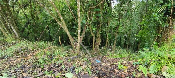 1 Hectarea de bosque en San Isidro, El Guarco, Cartago — ₡ 23 000 000