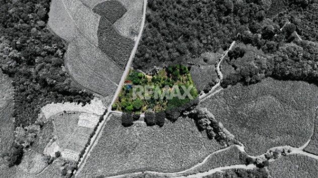 LOTE EN VENTA EN LAS MERCEDES DE CAJÓN, PÉREZ ZELEDÓN – 10,718 m² CON VISTA Y ÁRBOLES FRUTALES en Cajón, Pérez Zeledón, San José — $70,000