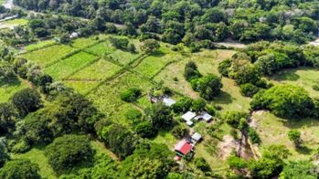 SE VENDE FINCA COMPLETAMENTE PLANA IDEAL PARA DESARROLLO E INVERSION CERCA DE DOMINICAL en San Isidro De El General, Pérez Zeledón, San José — $1,600,000 - Foto 5 de 9
