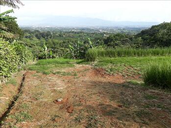 Finca en Venta San Pedro, Poás, Alajuela