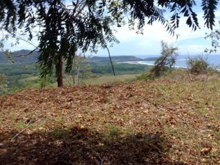 Costa de Oro, planteles Playa Coyote, Guanacaste AJ en Bejuco, Nandayure, Guanacaste — $8,800,000 - Foto 3 de 41