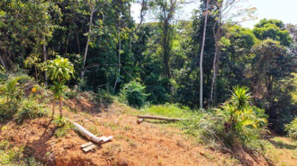 VENTA DE TERRENO DE 1.8 HECTAREAS EN QUIZARRA LISTO PARA CONSTRUIR  in El General, Pérez Zeledón, San José — $139,900