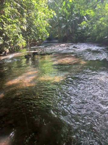 Excelente Terreno en La Fortuna en La Fortuna, San Carlos, Alajuela — ₡ 80 000 000 - Foto 3 de 8