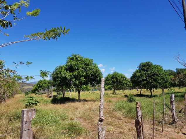Venta de Finca en Turrubares en San Pedro, Turrubares, San José — $600,000