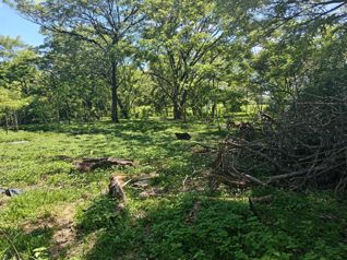 Hermoso Lote en Llanito de Tamarindo in Tamarindo, Santa Cruz, Guanacaste — $180,000 - Photo 5 of 9