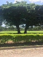 VENTA DE LOTE, PUNTARENAS, MIRAMAR, HACIENDA MONTES DE ORO in Miramar, Montes De Oro, Puntarenas — $38,528 - Photo 2 of 9